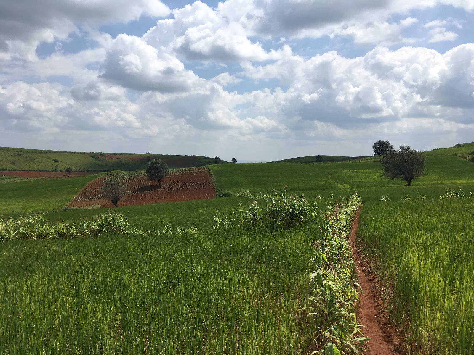 Somewhere on the hiking trail between Kalaw and Pindaya